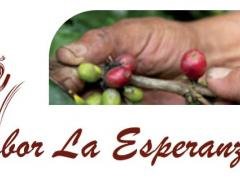 Café Sabor La Esperanza | CECOESPE